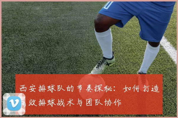 西安排球队的节奏探秘：如何打造高效排球战术与团队协作