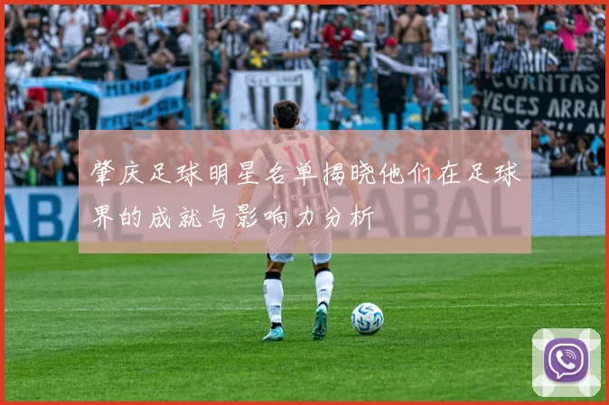 肇庆足球明星名单揭晓他们在足球界的成就与影响力分析