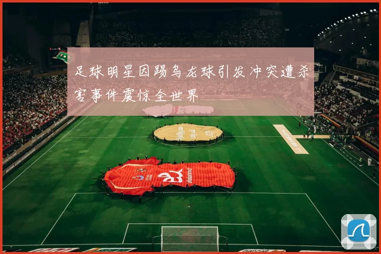足球明星因踢乌龙球引发冲突遭杀害事件震惊全世界