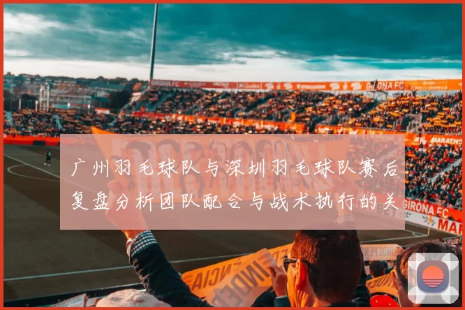 广州羽毛球队与深圳羽毛球队赛后复盘分析团队配合与战术执行的关键因素