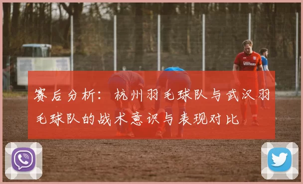 赛后分析：杭州羽毛球队与武汉羽毛球队的战术意识与表现对比